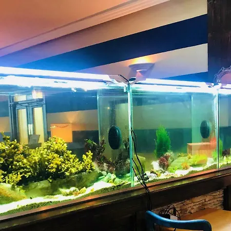 Derrynane & Holiday Homes Caherdaniel