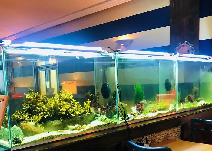 Derrynane Hotel&holiday Homes Caherdaniel